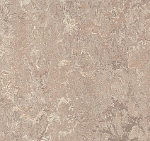 Линолеум Forbo Marmoleum Marbled Real 3232 Horse Roan фото 1 | FLOORDEALER